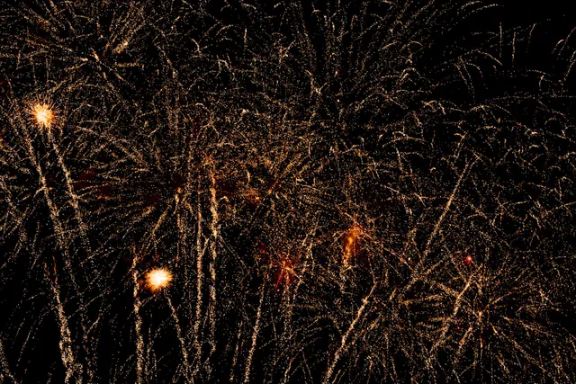 Louis Schiavo City View Park, Baileys Dog Park