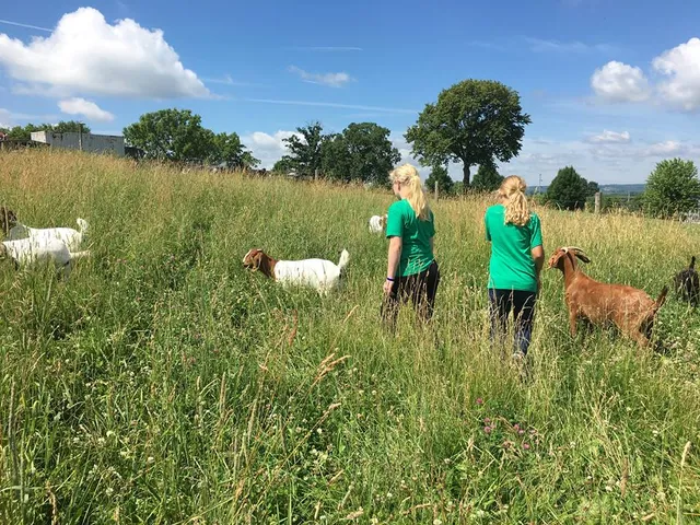 The Country Experience - Amstutz Family Farm Camp