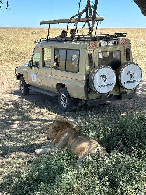 Tanzania Safari Tours | Tanzania Safari Desire