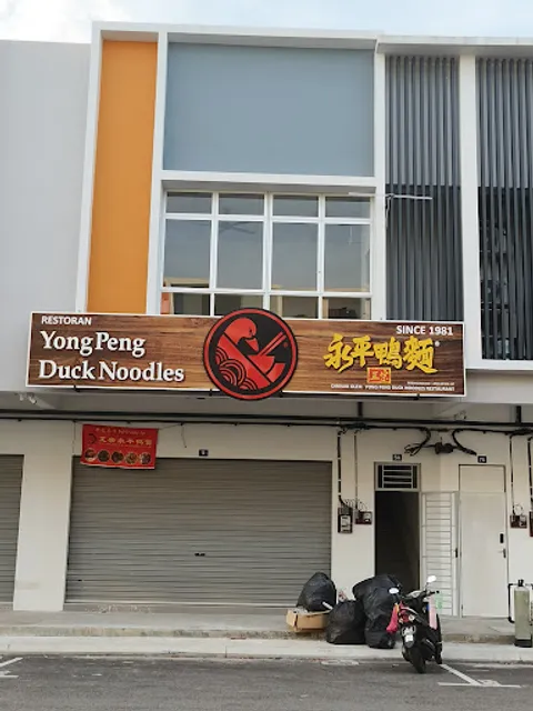 Yong Peng Duck Noodle
