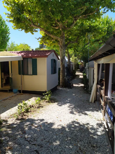 Camping Europe & C. S.A.S.