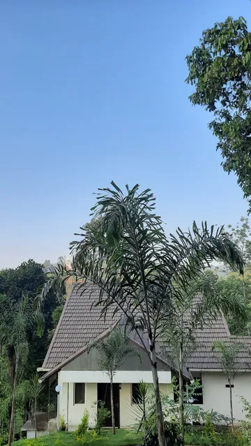 Vythiri Hill Palace Resort