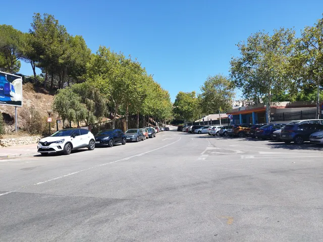 Parking Publico market
