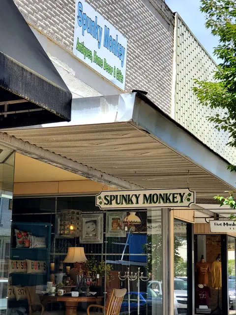 Spunky Monkey Home Interiors