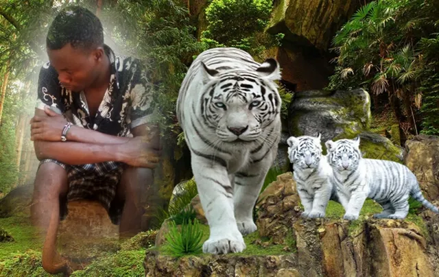 Pavillion Hill AppartHotel - Malindi