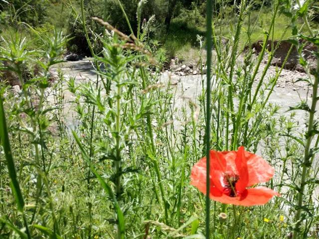Panificio La Nuova Cavuoti SRL