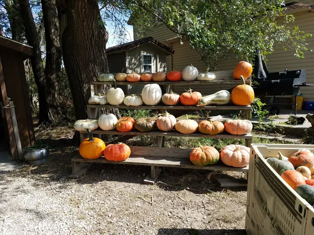 Jirak brothers produce