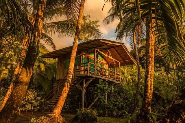 Ocean Forest Ecolodge Retreat