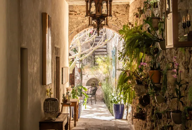 Orchid House San Miguel de Allende