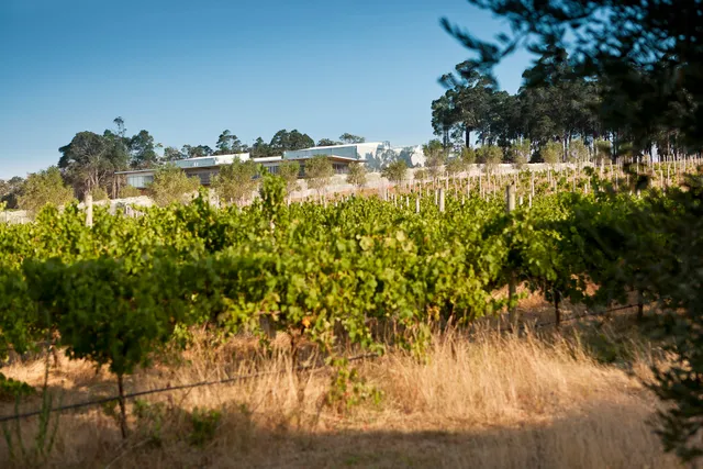 McHenry Hohnen Cellar Door