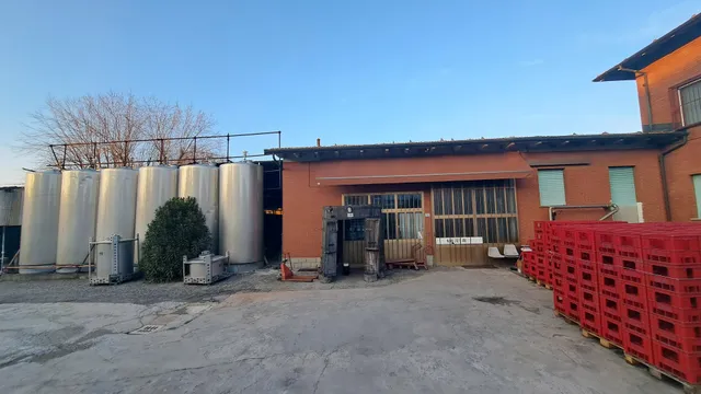 Nanni Grapes and Wines