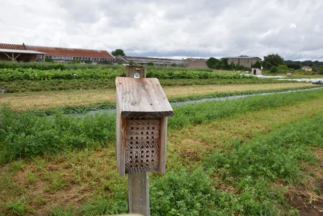 Les 4 Saisons de la Morinerie