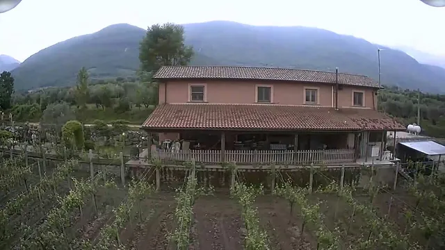 Bed & Breakfast Grappoloduva