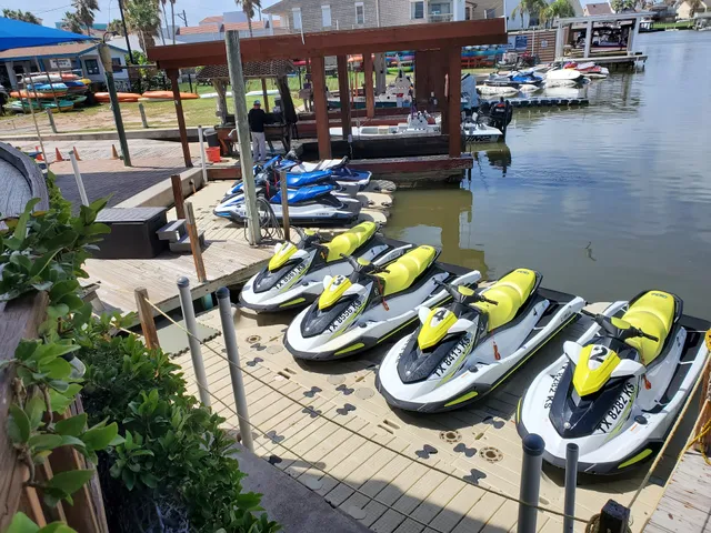 Parrot Eyes Water Sports