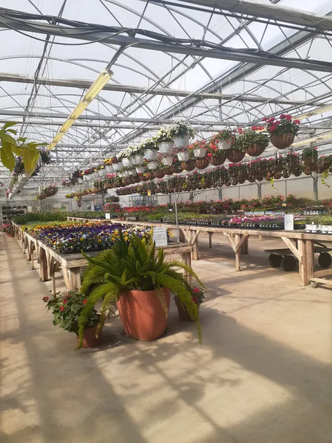 Revolution Farms by Peckham