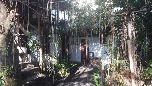 Paddy's Bamboo Guesthouse