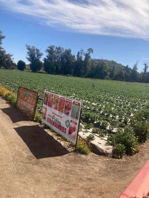 Tierra Rejada Ranch LLC