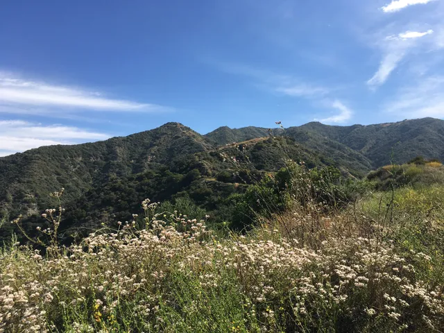 Start of Punk Out Trail