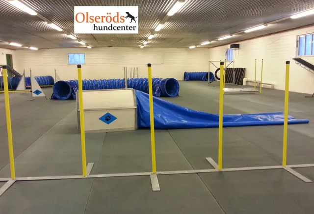 Olseröds Hundcenter & Vandrarhem