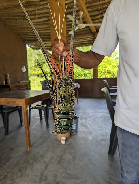 NIMHIRA Sea Food Restaurant