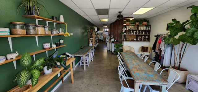 Organic Tree Juice Bar