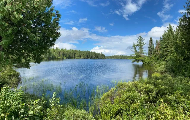 Réserve faunique de Portneuf