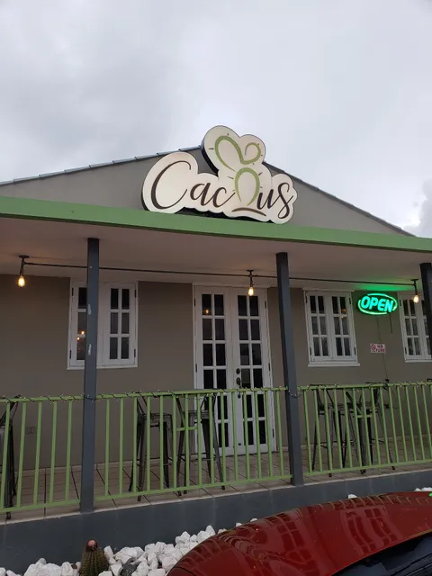 Cactus Bar and Grill