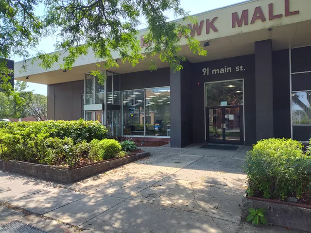 Rubber Duck Tech Repair