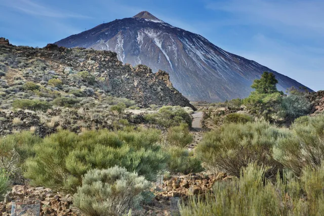 Wolfredo Wildpret Botanical Garden