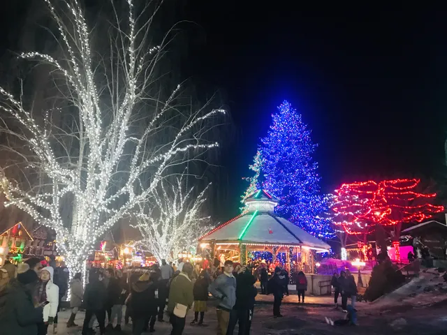 Christmas Light Display