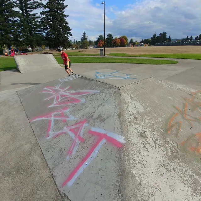 Davis Skatepark