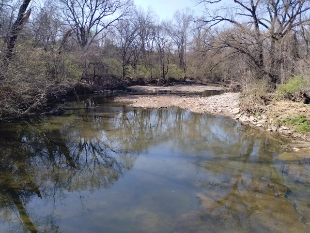 Whitsett Park playground