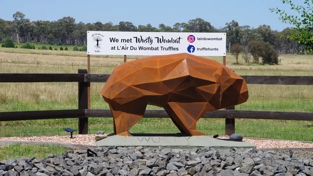 Truffle Hunting at L'air du Wombat