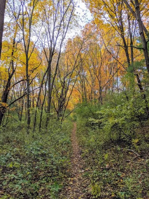 Yankee Springs - Devil's Soup Bowl