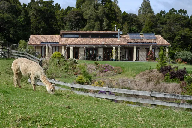 Alpaca Tours and Bush Walk