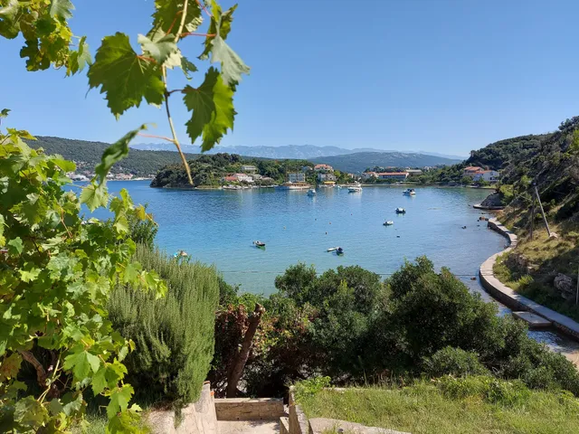 Apartments Goga Matusan