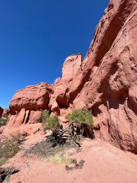 Ipuna turismo de altura