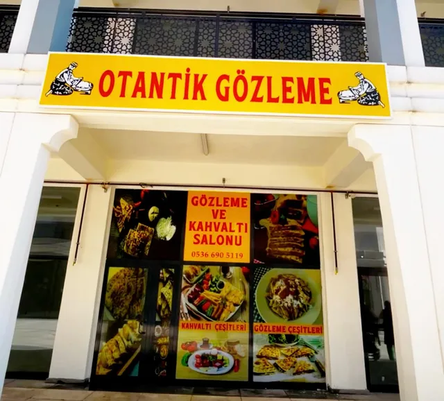 OTANTİK GÖZLEME
