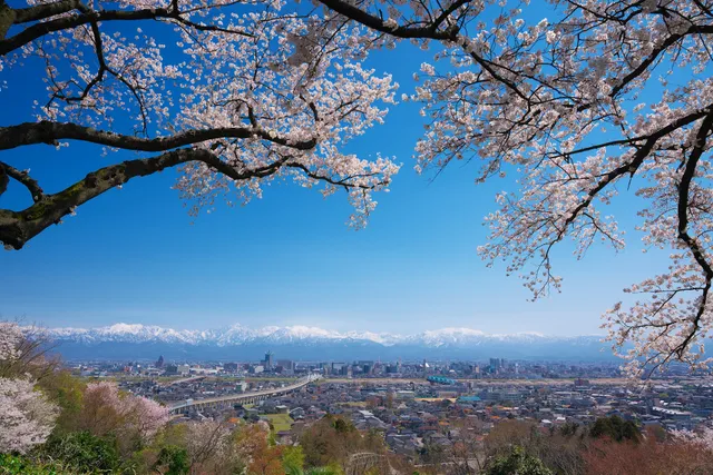 桜の広場展望台