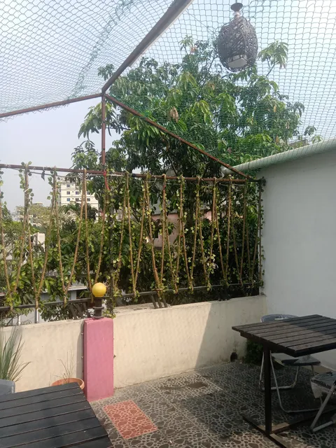 The Magician Restaurant