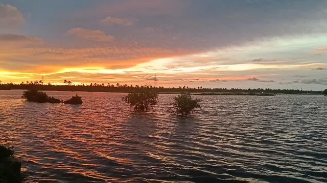 Kumbalangi Kavaru Spot