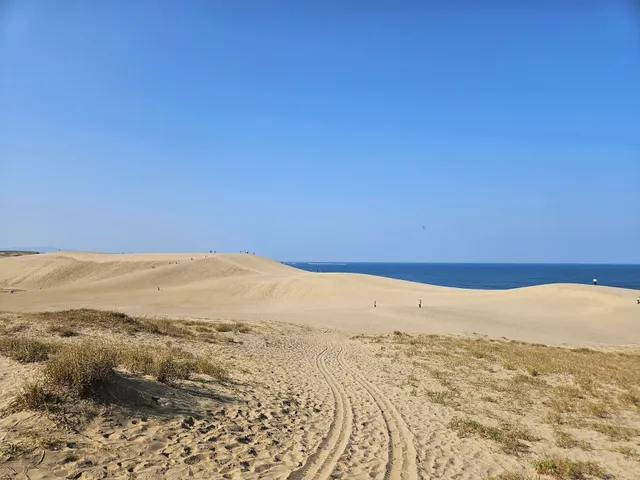 Horse Back Dune