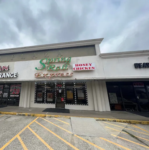 Spring Roll Honey Chicken (Asian cuisine)