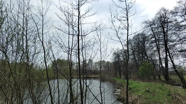 Katok Na Pozharnom Prudu