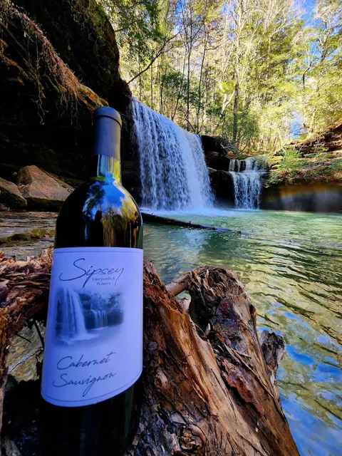 Sipsey Winery at the Flying Fifty