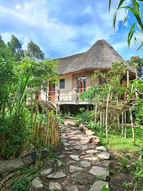 Chimpanzee Capital Safari Lodge