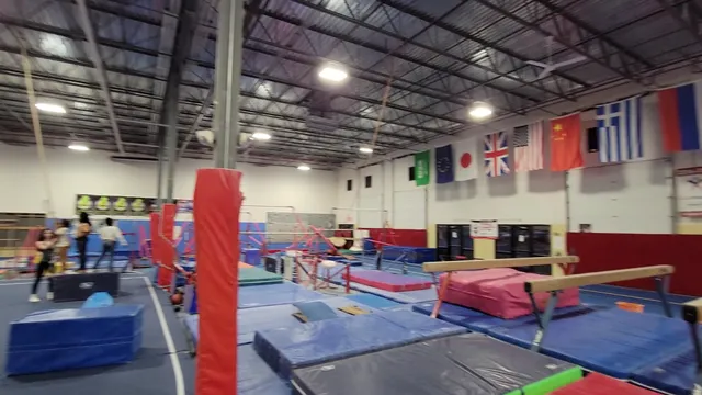 DC Gymnastics School