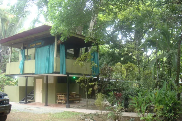 Jungle House