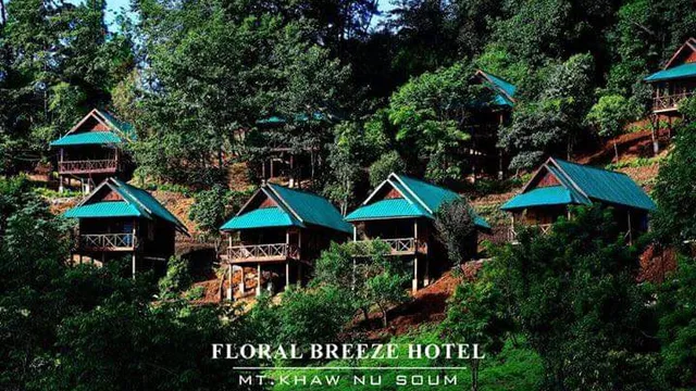 Floral Breeze Hotel (Mt.Victoria)