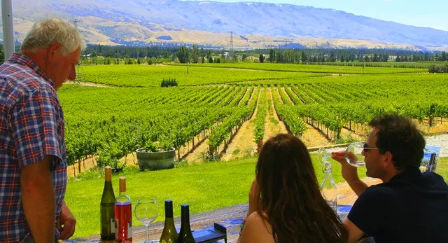 Wanaka Wine Tours